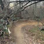 Pista abusiva in area protetta - Foto Archivio EGAP Parchi reali